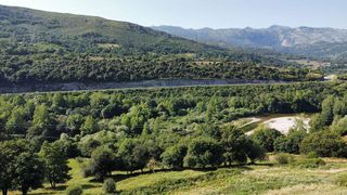 Terreno en venta en Peñamellera Baja