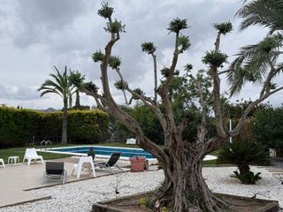 Chalet en venta en Moralet - Cañada del Fenollar en Alicante