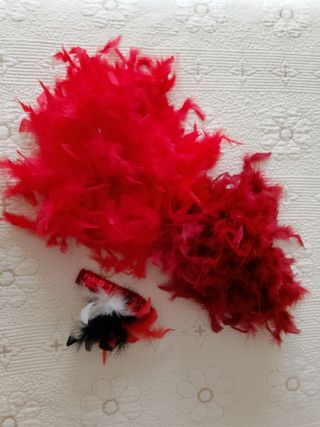 Accesorios de disfraz plumas
