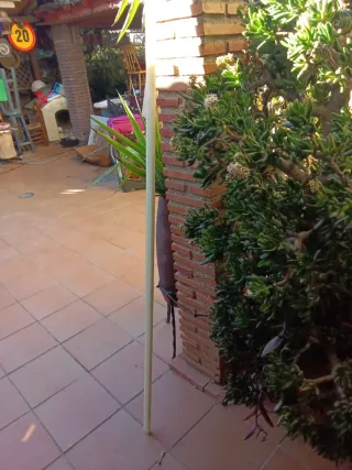 Barras de Teflón desde 1€