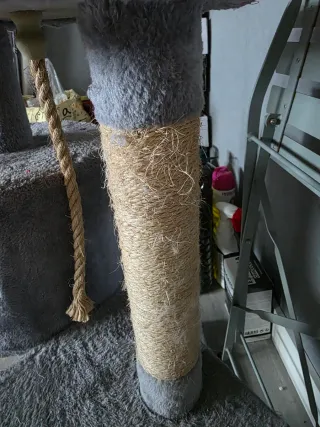 Árbol rascador para gatos