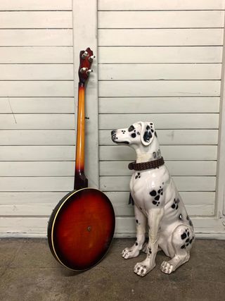 Banjo Antiguo Instrumento Musical