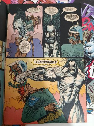 Comics Dc Lobo