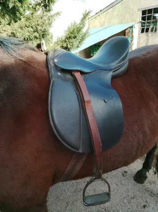 Montura inglesa ligera y cómoda