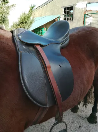 Montura inglesa ligera y cómoda