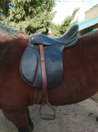 Montura inglesa ligera y cómoda