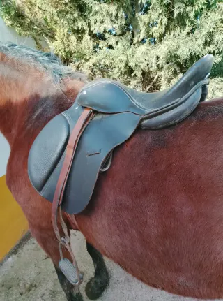 Montura inglesa ligera y cómoda