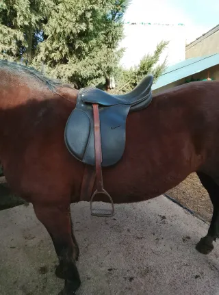 Montura inglesa ligera y cómoda