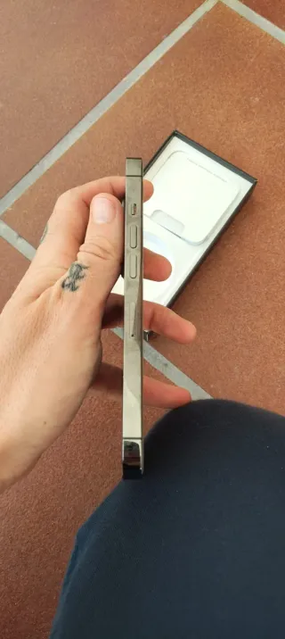 iPhone 13 Pro Grigio