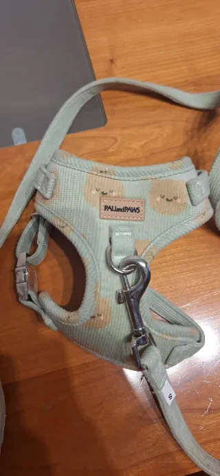 Arnés y Correa para Perro Pequeño