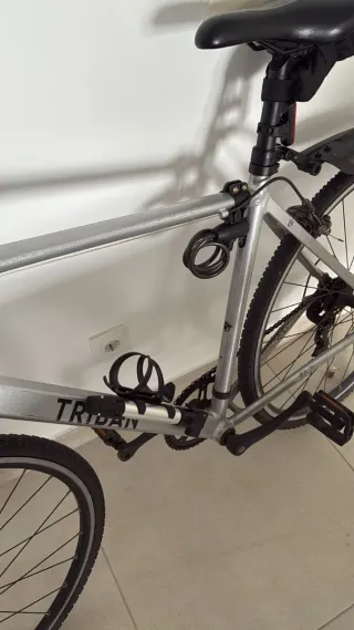 Bicicleta TRIDAN plateada
