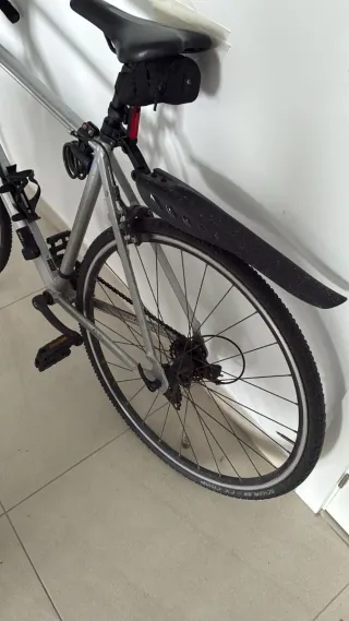 Bicicleta TRIDAN plateada