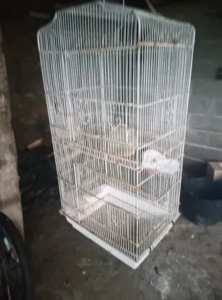 Jaula para periquitos blanca