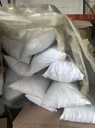 Lote Cojines y Camas para Mascotas