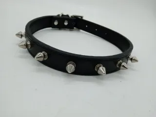 Collare cane taglia media con borchie
