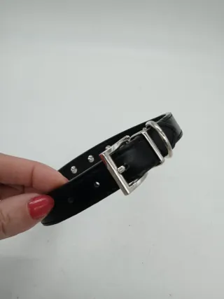 Collare cane taglia media con borchie