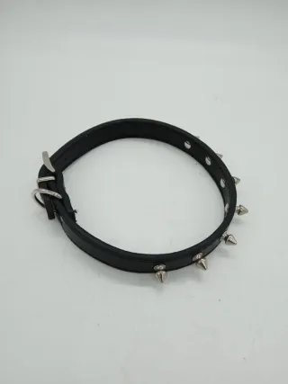 Collare cane taglia media con borchie