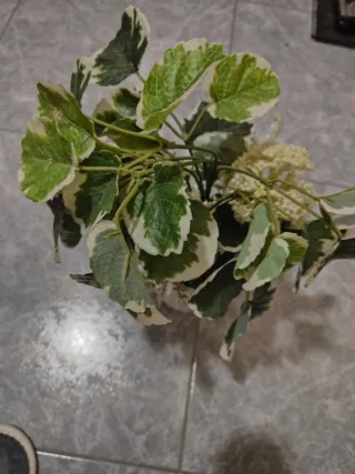 Planta artificial decorativa