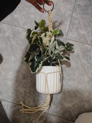 Planta artificial decorativa