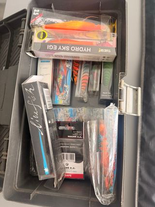 Carrete BLUE WIN + CAÑA BLUE WIN + SEÑUELOS