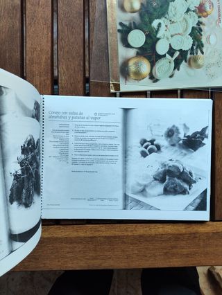 REVISTA THERMOMIX ESPECIAL NAVIDAD + REGALOS