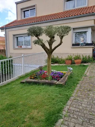 Trabajos de jardineria