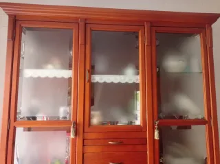 Vitrina de madera y cristal