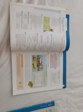 Libros Matemàtiques Santillana Voramar 5 Valencià