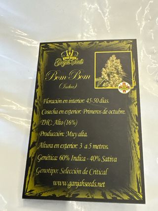 Ganjah Seeds Bom Bom Feminizadas