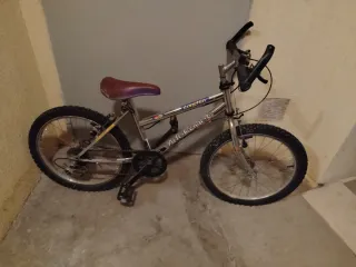 Bicicleta infantil plateada