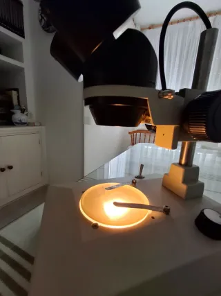 Lupa Binocular Escolar