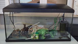 Pecera 80x40x30 con Accesorios y Filtro