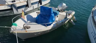 Barco de pesca estable 4'15 consola