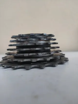 Ruota Libera Regina Extra America 7 Velocità