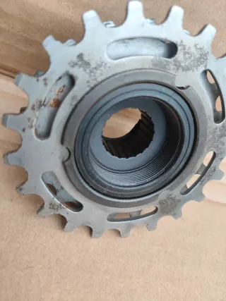 Ruota Libera Regina Extra America 7 Velocità