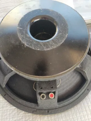 Pareja Altavoces B&C 15 500W