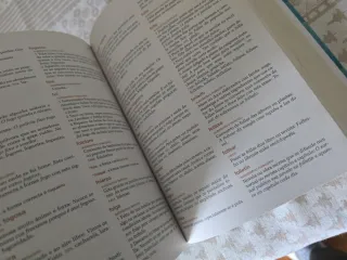 Dicionario Xerais de Primaria