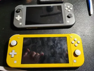 2 Nintendo Switch Lite per parti