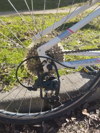 Bicicleta Riverside 500 L-XL