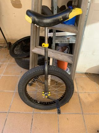 Monociclo 20”