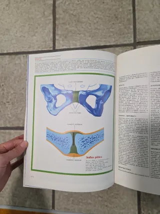 Gran enciclopedia medicina familiar