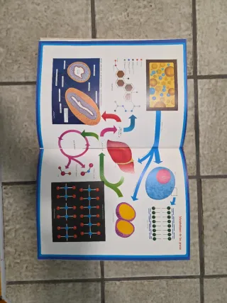 Gran enciclopedia medicina familiar