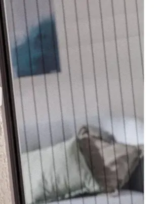 Cortina Mosquitera Artens 150x230cm