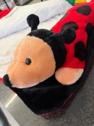 Sacco nanna coccinella con cuscino