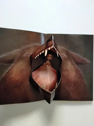 Cuentos silenciosos - Benjamin Lacombe