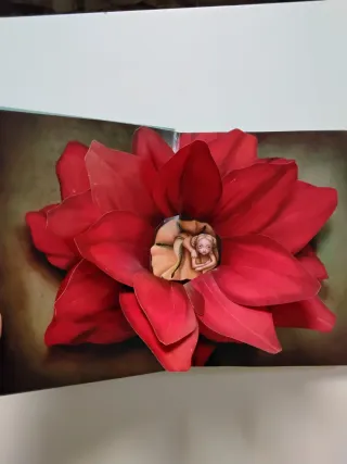 Cuentos silenciosos - Benjamin Lacombe