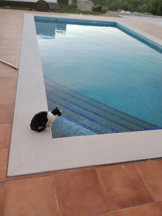 Reformas integrales, Electricidad y fontanería