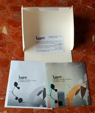 BUENO - Canción Minúscula. Cd (Ed.Numerada)
