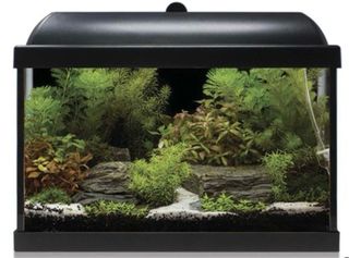 Acuario ICA Aqua Led 25L