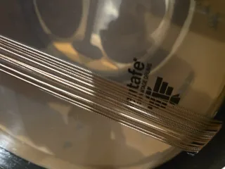 Tambor NP California